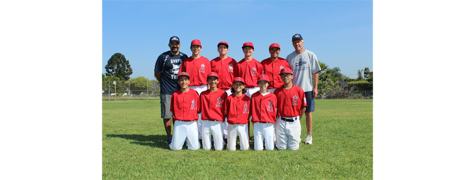 Senior Division Signups Now Open!